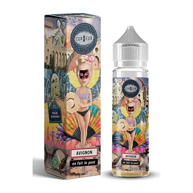 Avignon, On Fait le Pont Curieux